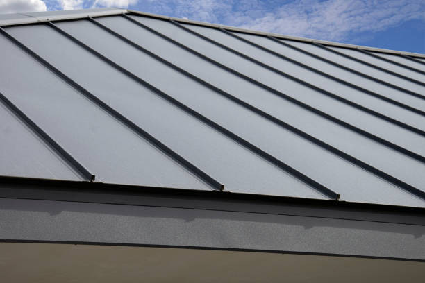 Best Solar Panel Roofing Installation  in Mcdade, TX